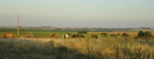 La Ley de Tierras frena el ingreso de 10.000 M/u$s