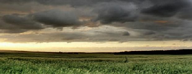 Las lluvias mejoran la humedad de los suelos