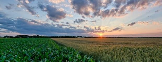 El cambio climático podría desbalancear nutrientes del suelo