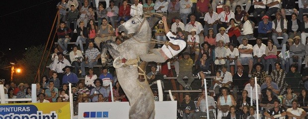 Se coronó a los ganadores del festival de jineteada 2014