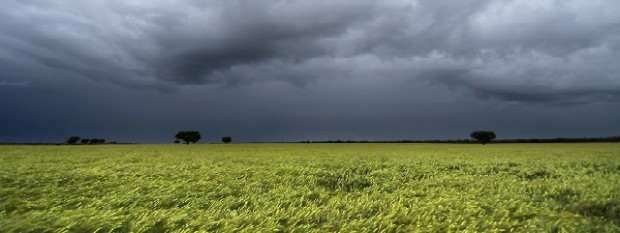 El campo recibirá lluvias durante el fin de semana 