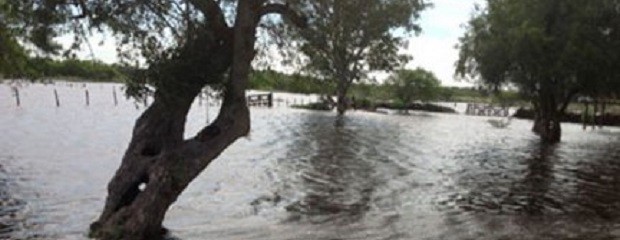 Productores del sur entrerriano sufren una grave inundación