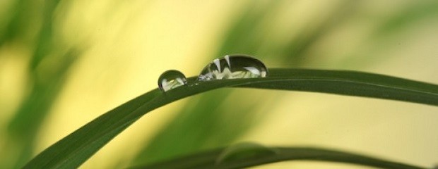 El Inta enseña a cosechar agua