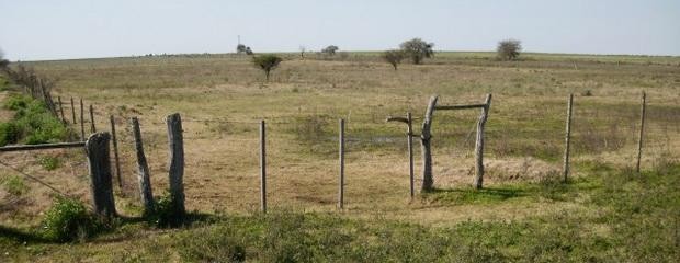 Ofrecen acuerdo con herederos de campos para hacer negocios