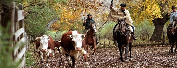 Se puede tramitar vía Internet el movimiento de ganado