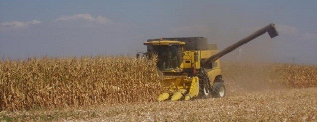 Los costos agrícolas para la recolección se han elevado