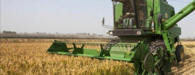 Los costos de producción aumentaron un 22,9% en tres meses