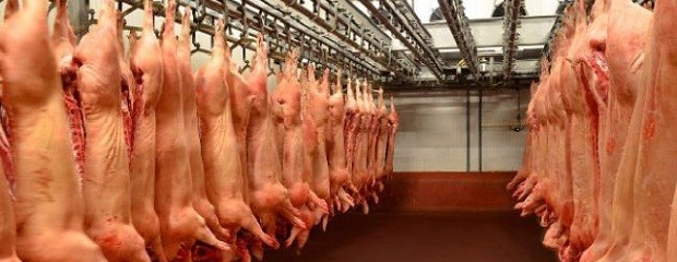 El consumo de carne porcina superó los 10 kilos por persona