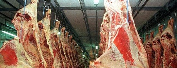 Argentina perdió u$s6.000 M en exportaciones de carne