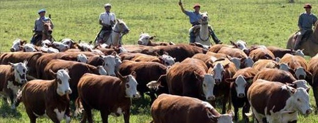 Quieren desarrollar las áreas rurales