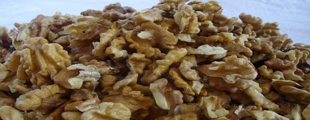 Asociados para producir nueces pecan y vender en Rosario