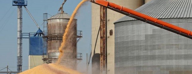 Ingresaron U$S 419/M de la agroexportación en la última sema