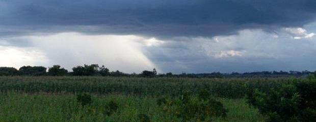 El Niño se hará sentir en agosto, octubre y noviembre