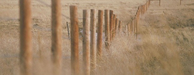 Aseguran que el precio de los campos ya tocó piso