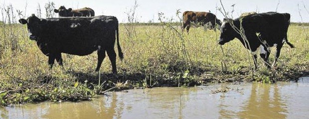 Preocupación por la situación de los productores isleños 