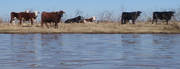 Las nuevas lluvias no llevarían el río un nivel crítico