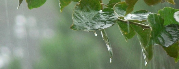 Las lluvias vuelven el viernes