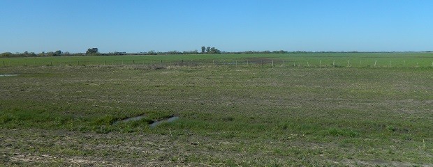 Uruguay tiene un plan de uso y manejo de suelo 