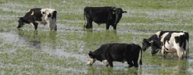 Aceleran el traslado de hacienda a tierras altas