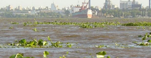 Las precipitaciones no incidirían en los ríos