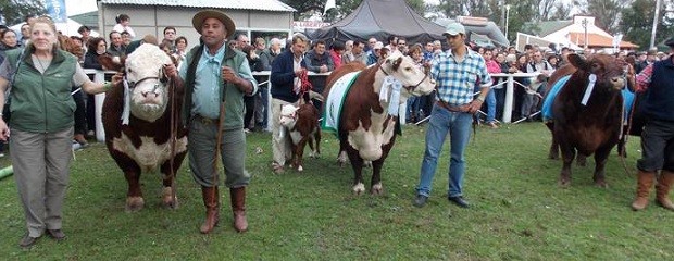 Se vendió un toro a 60 mil pesos en Villaguay