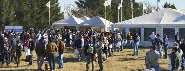 Regresan las Jornadas a Campo del IPCVA en Entre Ríos