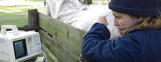 Día del Ingeniero Agrónomo y del Médico Veterinario