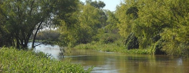 Debate sobre la conservación de la región Delta del Paraná