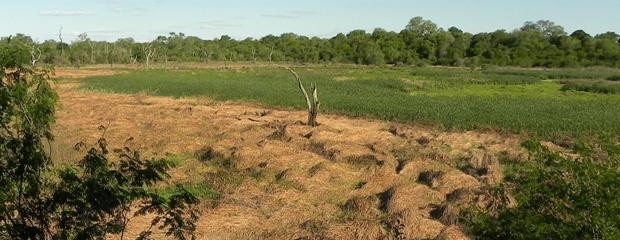 Se presentara el inventario de humedales de la Argentina