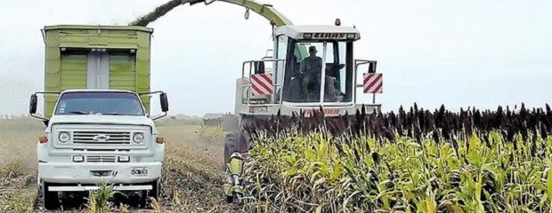 ¿Cuánto empleo generan las cadenas agroalimentarias?