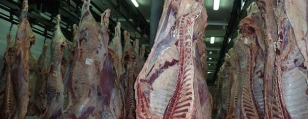 Subieron las exportaciones de carnes frescas en 2014