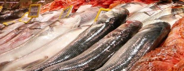 Afirman que cayó el consumo de pescado