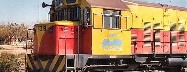 56% de la carga trasladada por ferrocarriles es agropecuaria