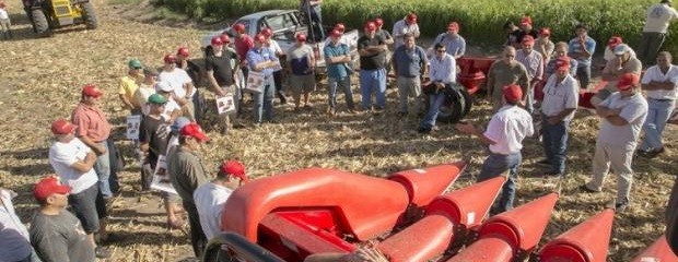 Llega la muestra que espera volver a despertar al campo