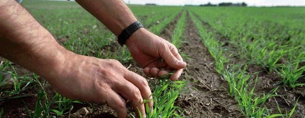 Se presentó la Red de Buenas Prácticas Agrícolas