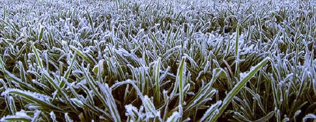 Riesgo de heladas hacia el fin de semana 