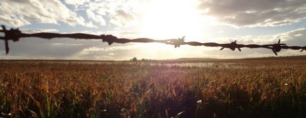 A la dirigencia política no le interesa la crisis del campo