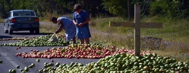 Productores de fruta volverían a cortar