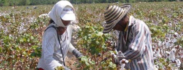 Crearon el sello Producto de la Agricultura Familiar