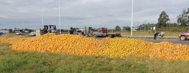 La crisis atraviesa todos los rubros del campo