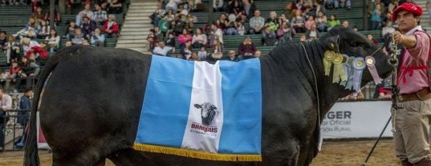 Los Brangus pisaron fuerte en la pista de Palermo