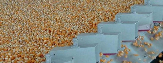 Reina la incertidumbre para los cereales en Argentina