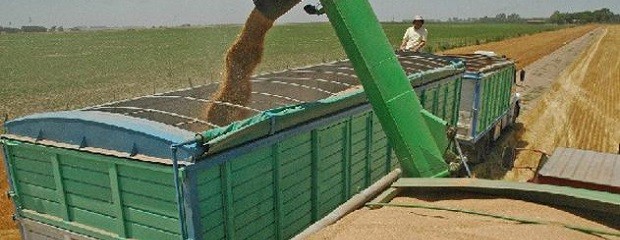 Advierten que está rota la cadena de pagos en el agro