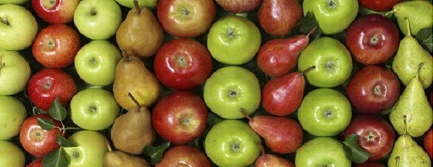 Acordaron pautas para exportar peras y manzanas