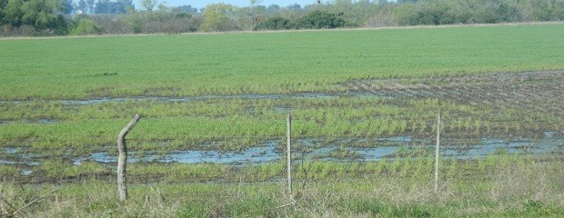 Persisten reservas hídricas excesivas sobre áreas puntuales