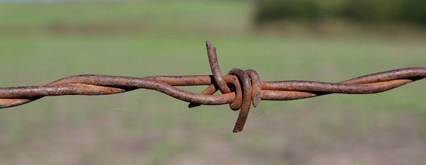 El valor de los campos seguirá cayendo