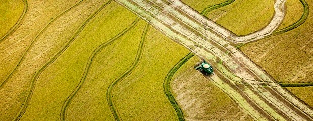 Hacia un replanteamiento de la agricultura argentina