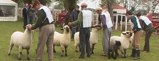 Gualeguay fue sede de la Exposición Nacional de Hampshire