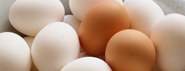 EE.UU. habilitó la importación de huevos de la Argentina