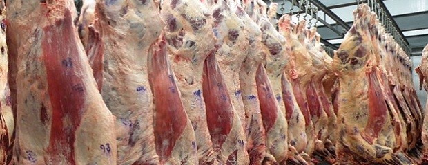 Según el Usda Argentina producirá menos carne en 2016